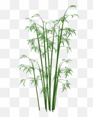 One Clipart Bamboo One Bamboo Transparent Free For Download - Transparent Background Bamboo Plant Png Emoji,Bamboo Emoji