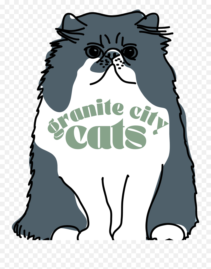 What Color Is My Cat U2014 Granite City Cats - Ugly Emoji,Grey Tabby Emojis