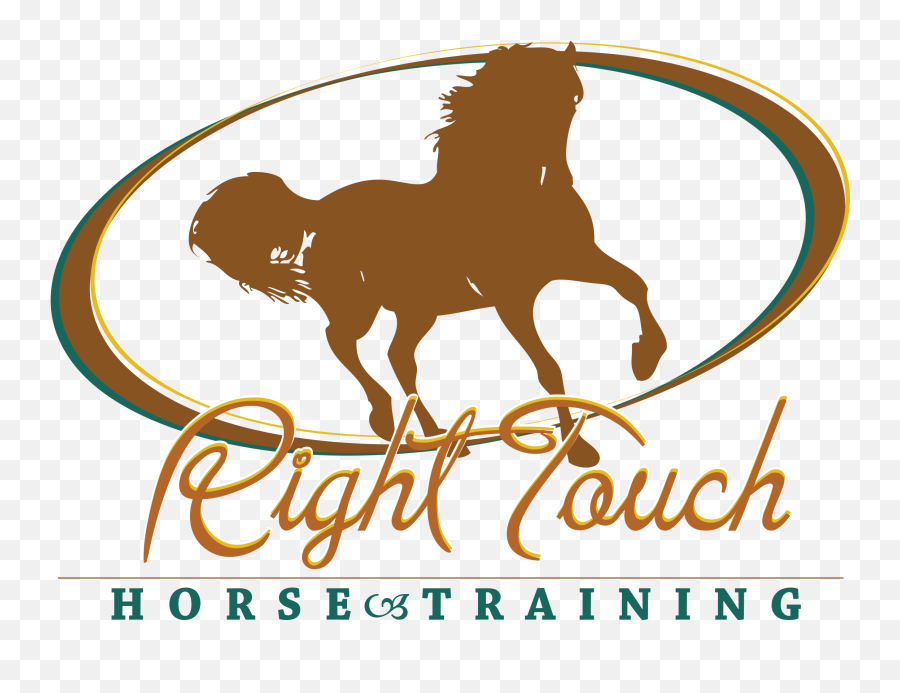 Lessons Right Touch Horse Training Emoji,Horses Emotions