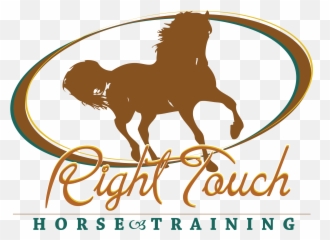 Lessons Right Touch Horse Training Emoji,Horses Emotions