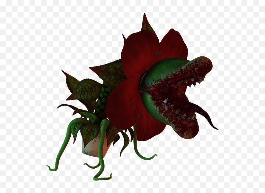 Carnivorous Plants - Man Eating Plant Png Emoji,Flower Emoticon Dive