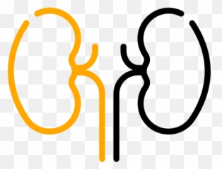 Wisehealths Indias Leading Pathology Labs Network - Dot Emoji,Horm Emoji