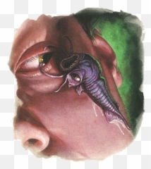Ilhiid The Illithids Came Into Emoji,Mindflayer Emotion Stones