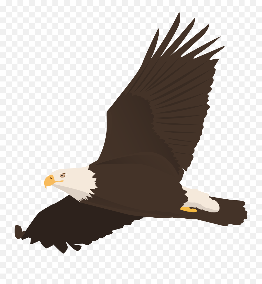 Download Free Graphic Designs Stock - Bald Eagle Emoji,Spark Emoticons