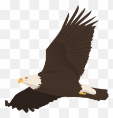 Download Free Graphic Designs Stock - Bald Eagle Emoji,Spark Emoticons