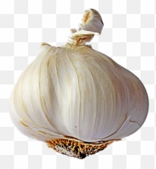 Garlic Clipart Transparent Background Garlic Transparent - Garlic With No Background Emoji,Garlic Bread Emoji