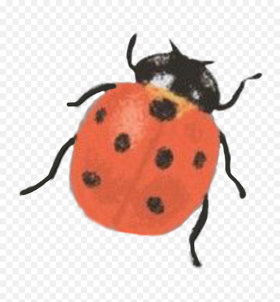 The Most Edited Bug Picsart - Vintage Aesthetic Ladybog Png Emoji,What Is The Termite, Ladybug Emoticon
