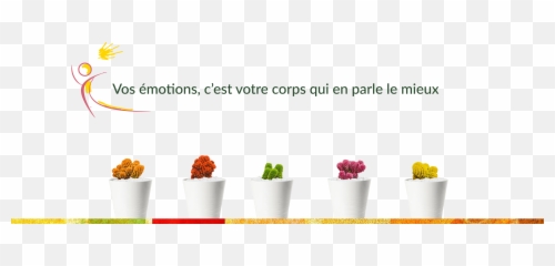 Kinésiologie - Vos Émotions Cu0027est Votre Corps Qui En Parle Vertical Emoji,Liste Des Differentes Emotions