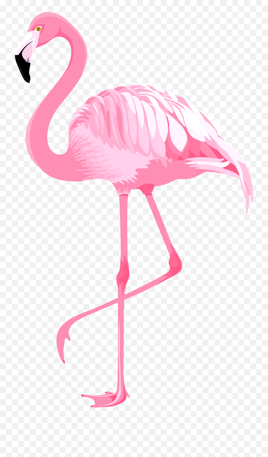 Pink Flamingo Png Clipart - Pink Flamingo Clipart Emoji,Flamongo Emoji