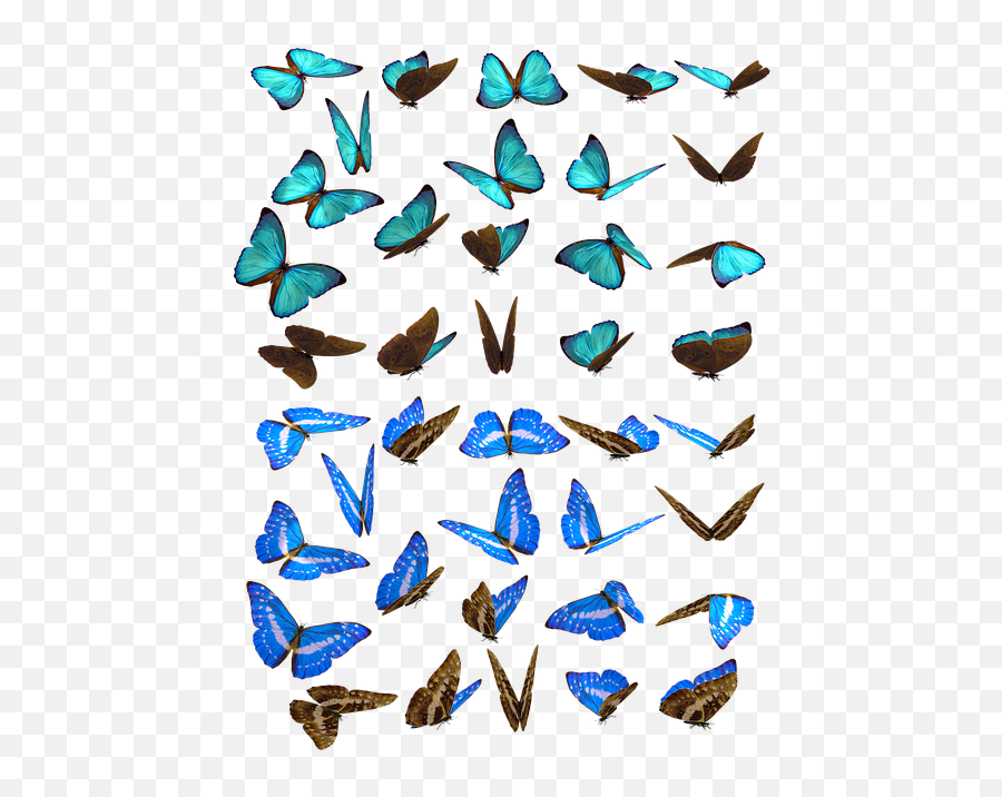 300 Free Cyan U0026 Blue Illustrations - Mariposas Enjambre Emoji,Rhombus Emoticon