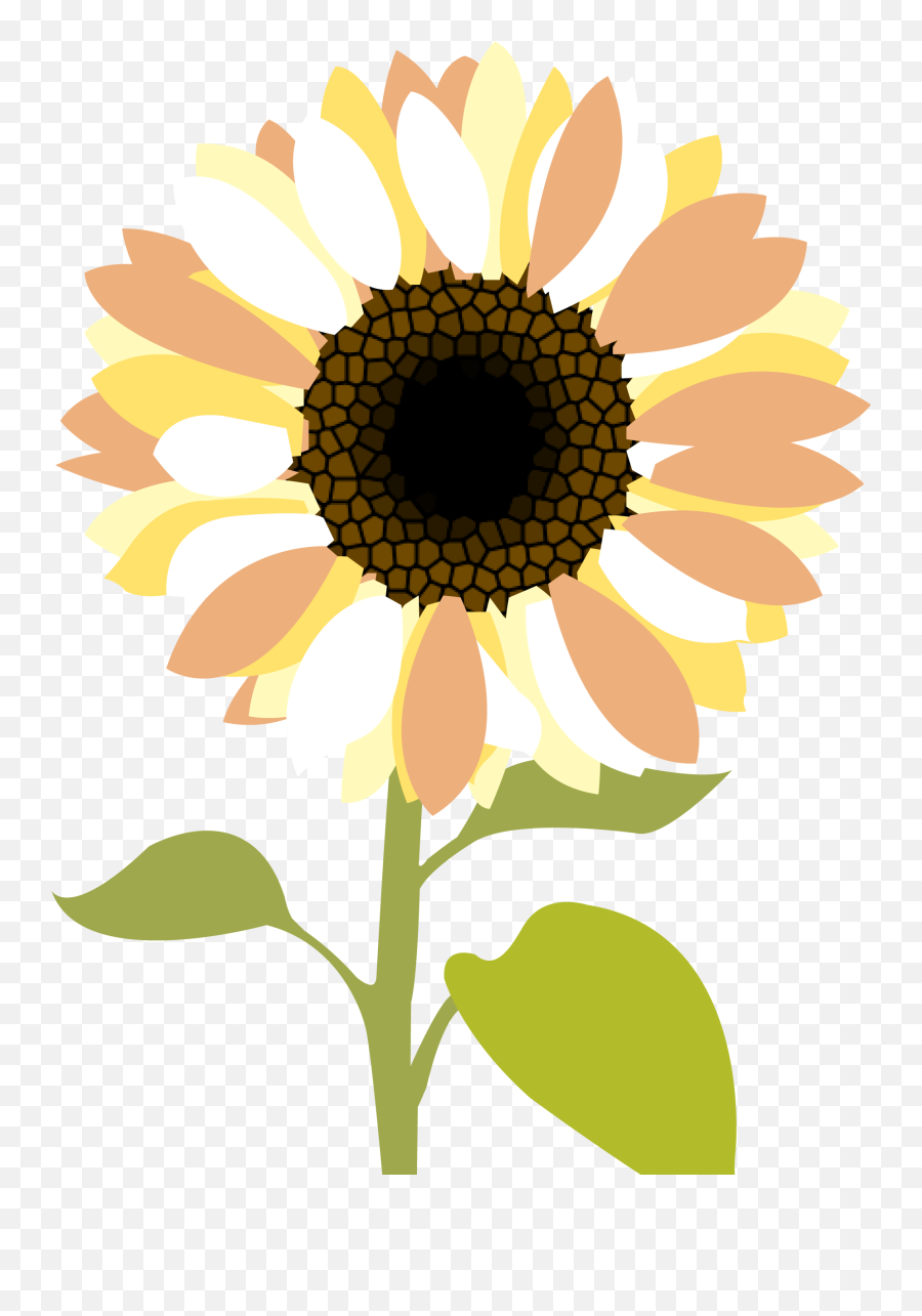 Sunflower Christian Clip Art Clipartbold - Clipartix Png Image Sunflower Png Transparent Emoji,Sun Flower Emoji