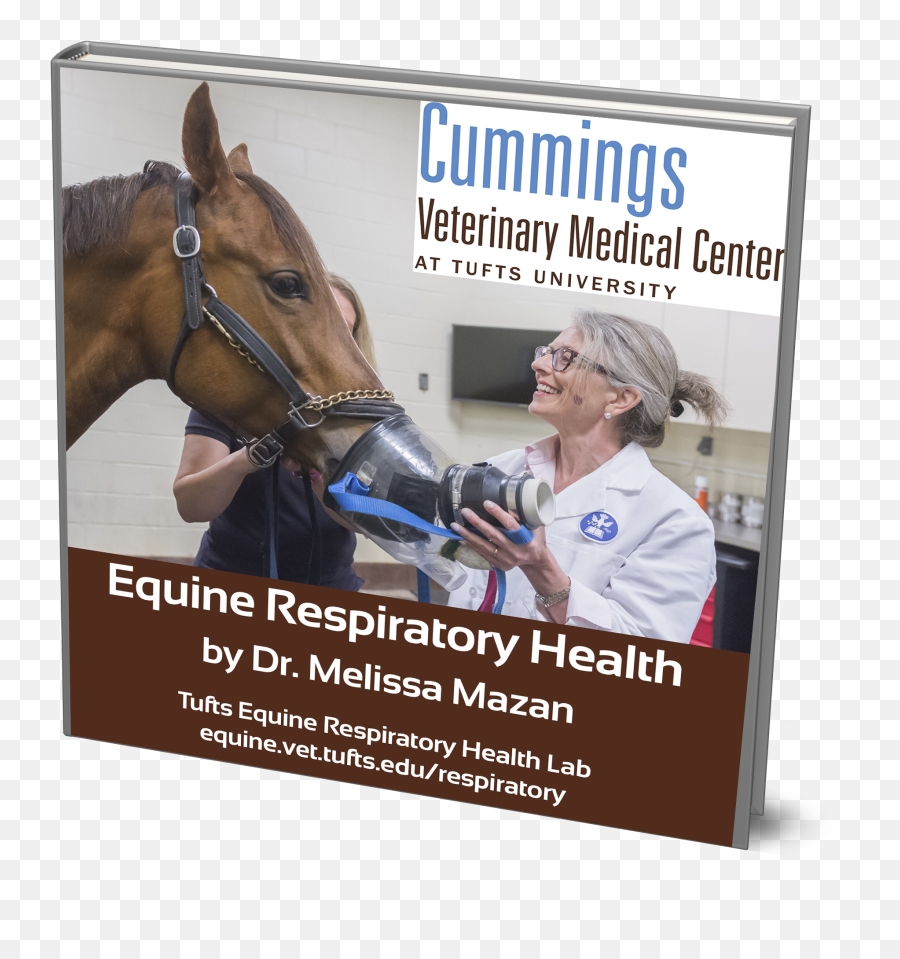 Lung Function Testing - Tufts Equine Center Emoji,Facebook Racehorse Emoticon