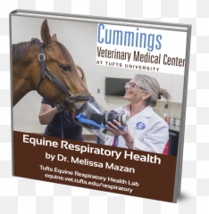Lung Function Testing - Tufts Equine Center Emoji,Facebook Racehorse Emoticon
