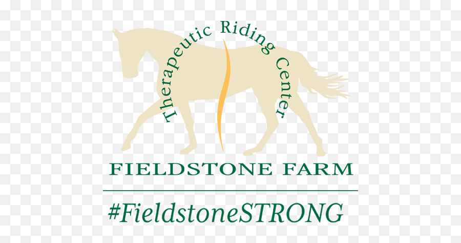 Horses Help Women Heal Fieldstone Farm Therapeutic Riding Emoji,Horses Ears Emotion