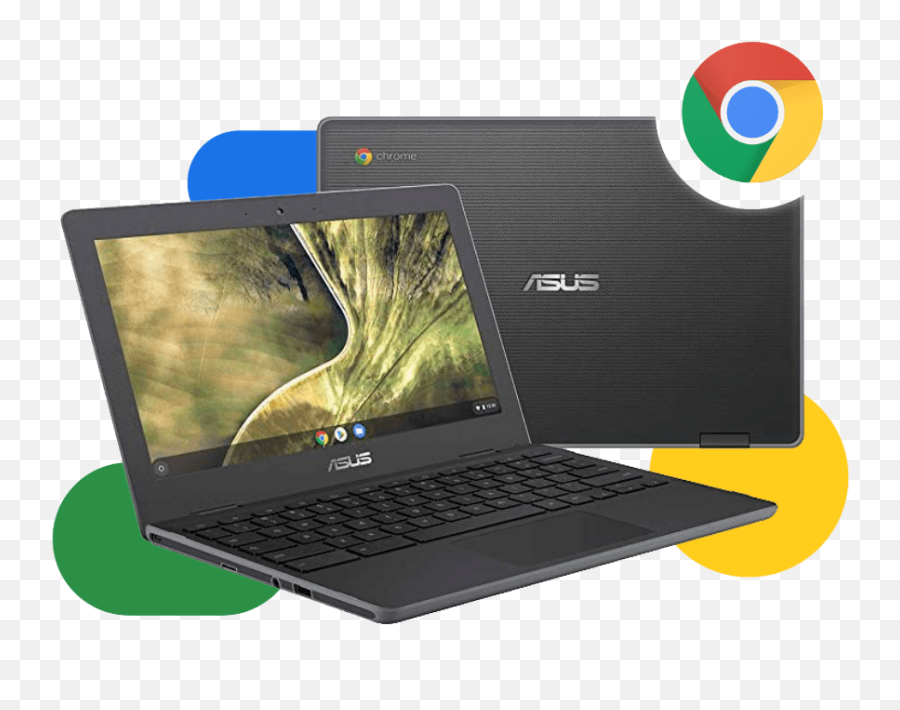 Asus Chromebook 204 Tips And Benefits From Our Expert Emoji,Chromebook Emoji