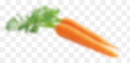 Pork - Cibo Sano Completo E Appetitoso Per Il Tuo Cane Emoji,Cane Emoji