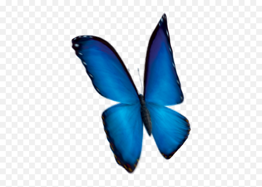 Disney 3d Viewer Emoji,Blue Butterfly Emoji