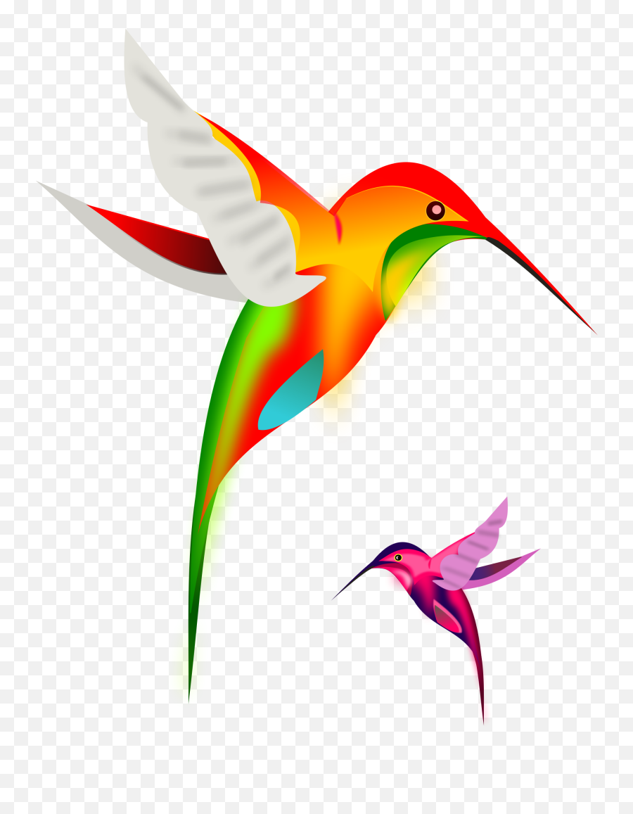 Colibri Birds - Colorful Birds Flying Cartoon Emoji,Hummingbird Emoji