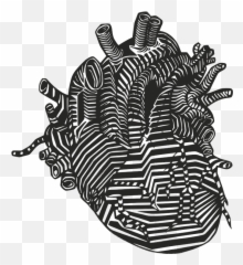 Arousal - Everyday Psych Artistic Anatomical Heart Drawing Emoji,Arousal, Emotion, Mood Model