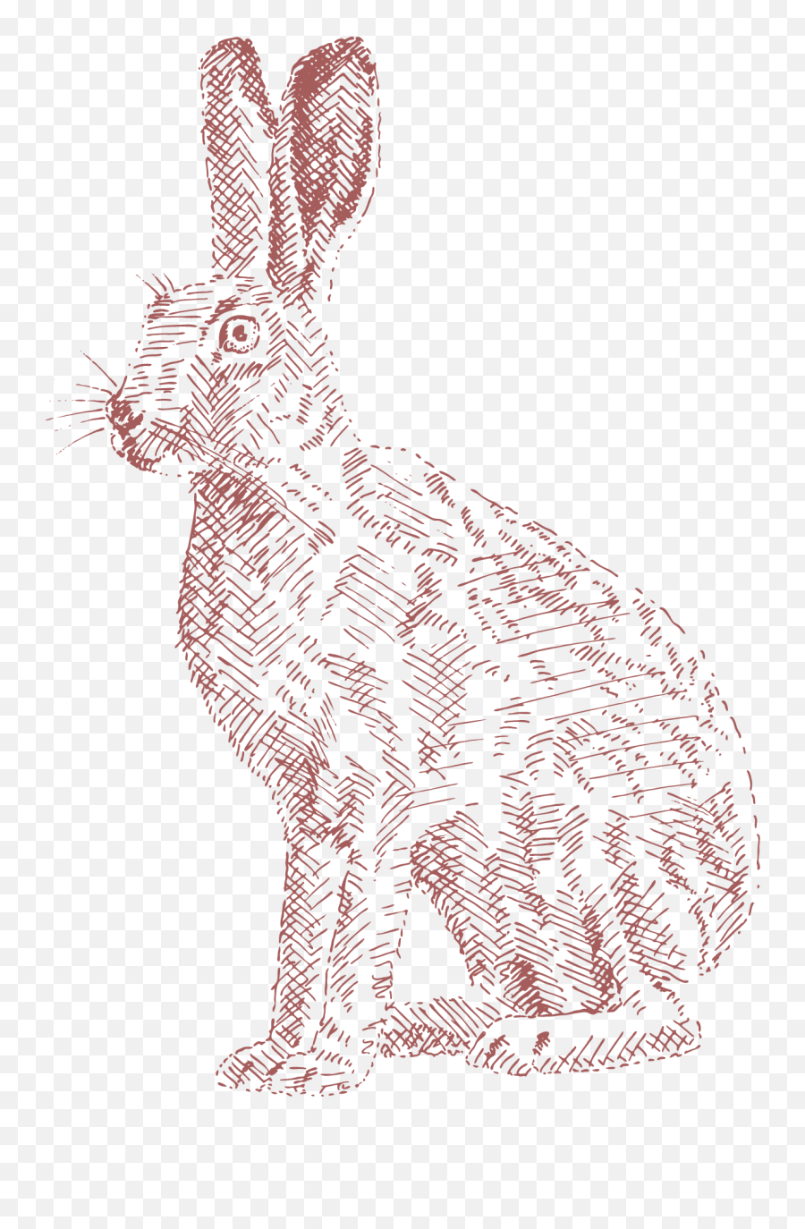 A Rural Inspired Brand For Ella Jenkins - Domestic Rabbit Emoji,Ditto Emotions