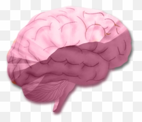 The Neurological Connection With Emoji,Chronic Illness Emojis