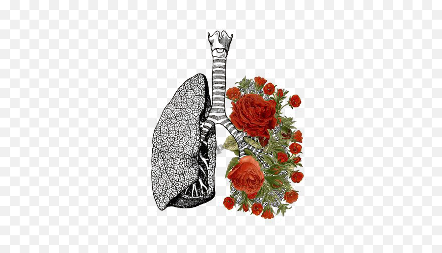 Tumblr Flower Flowers Rose Sticker - Medical Illustration Emoji,Lung Emoji