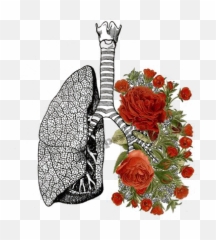 Tumblr Flower Flowers Rose Sticker - Medical Illustration Emoji,Lung Emoji