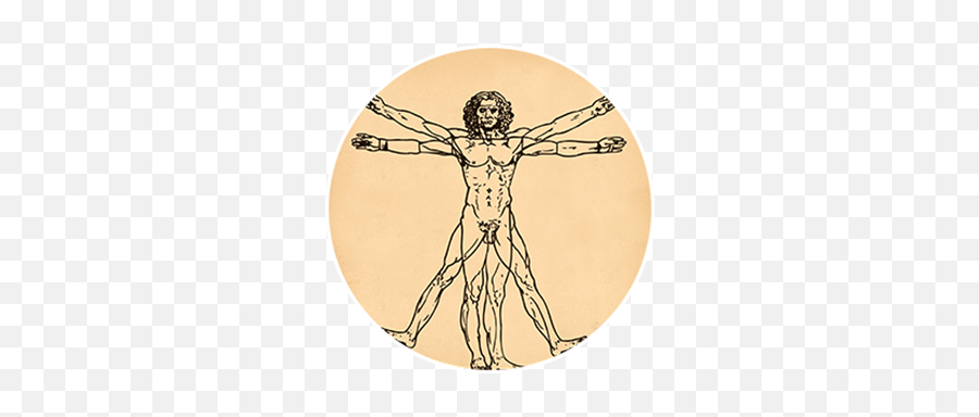 Body Mapping U2013 Body Nature Yoga - Leonardo Da Vinci Symbol Emoji,Free Graphics Body Maps Of Emotions