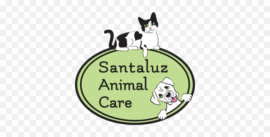 Santaluz Animal Care Emoji,Cartoon Animals Expressing Emotions