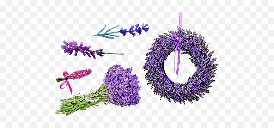 60 Free Lavender Bunch U0026 Lavender Images Emoji,Lavender Purple Emojis