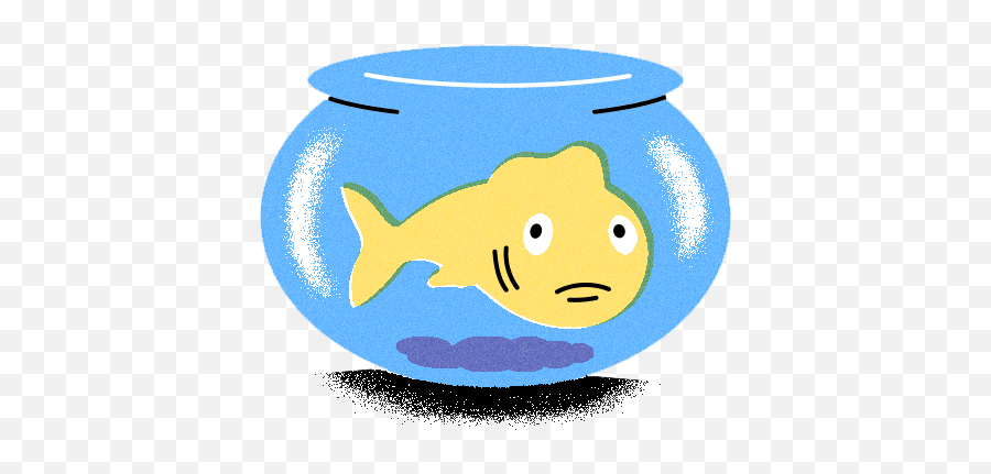 If We Can Make Animals Smarter Should We - Aquarium Fish Emoji,Giving Human Emotions To Animals