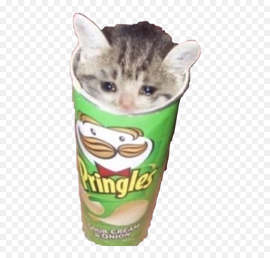 Cute Pringles Cat A Sticker By Lady Hokage - Pringles Cat Emoji,Lady Cat Emoji