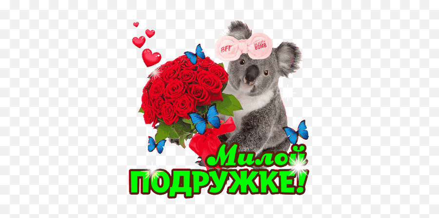 Top Koala Stickers For Android Ios - Lovely Emoji,Koala Emoji Android
