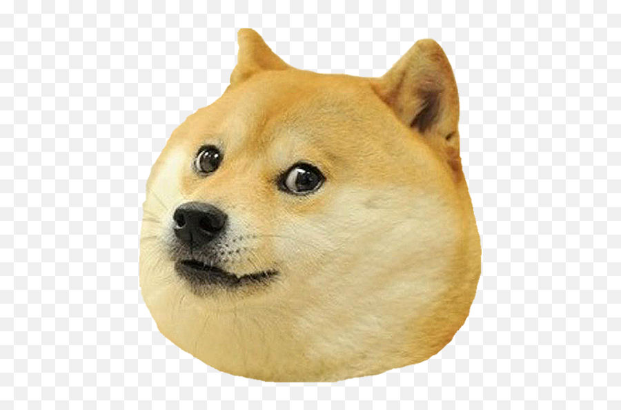 Shiba Dogs Head - Meme Dog Png Emoji,Shiba Inu Emoticon