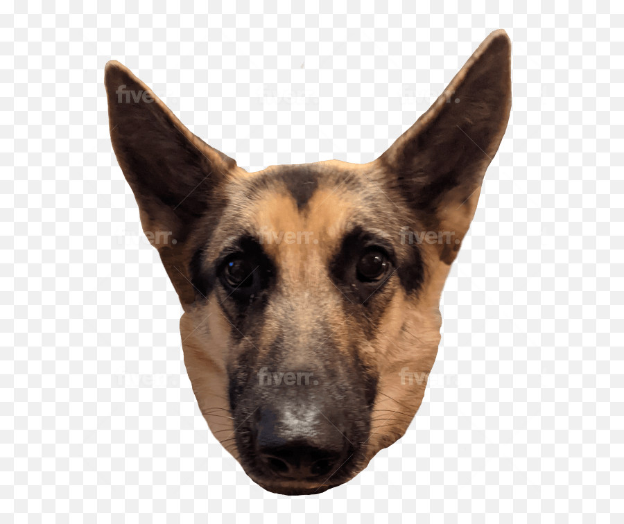 Create Twitch Or Discord Emotes From Preexisting Images By - German Shepard Twitch Emotes Emoji,How To Make My Own Discord Emojis