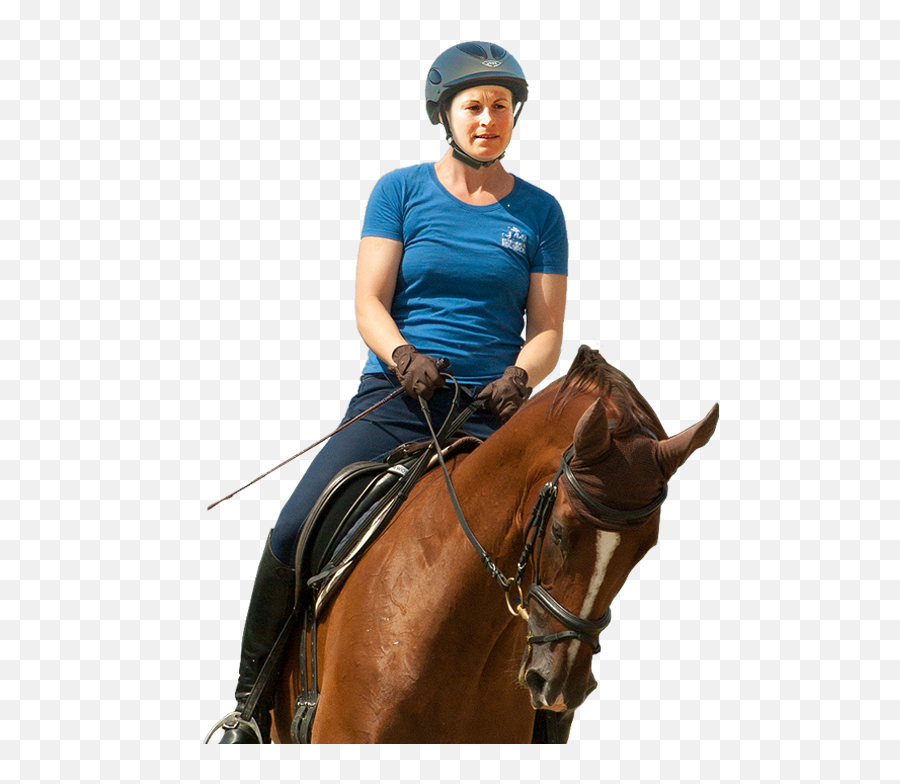 Products - Fleck Riding And Driving Whips Bridle Emoji,Emotion Horse Rider Metaphor