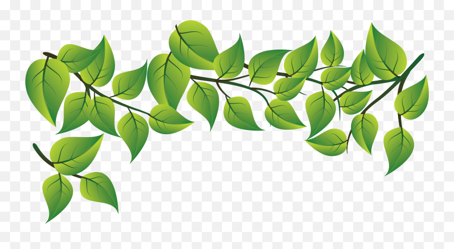 Download Fashion Leaf Leaves Vector - Green Leaves Vector Png Emoji,Leaf Snowflake Bear Earth Emoji