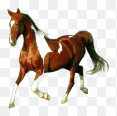 Discover Trending Horses Stickers Picsart - American Paint Horse Emoji,Hand Horse Horse Emoji