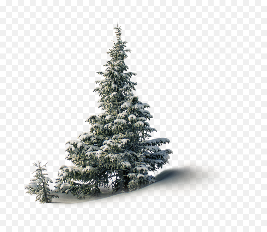 Virtual Christmas Market - The Stressfree Christmas Emoji,Christmas Tree Emotions
