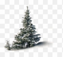 Virtual Christmas Market - The Stressfree Christmas Emoji,Christmas Tree Emotions