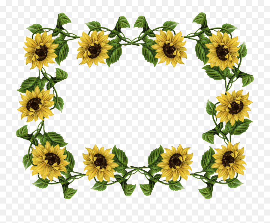 Free Sunflower School Cliparts Download Free Clip Art Free - Transparent Flower Border Sunflower Emoji,Sun Flower Emoji