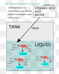 Japanese Health Archives - Dot Emoji,Japanese Study Water Emotions