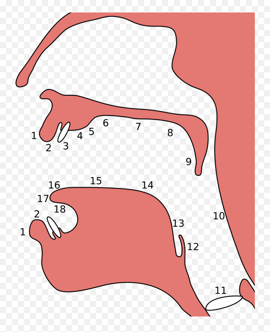 Colophon Colophon 33 Back - Place Of Articulation Emoji,Componential Theory Of Emotion