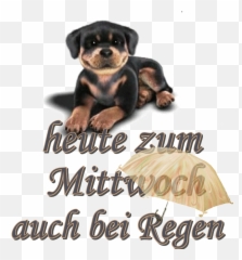 Pin By Reiner Geiß On Mittwochsgrüße S Food Animals Pics - Mittwochsgrüße Hunde Gif Emoji,Reiner Emoticon