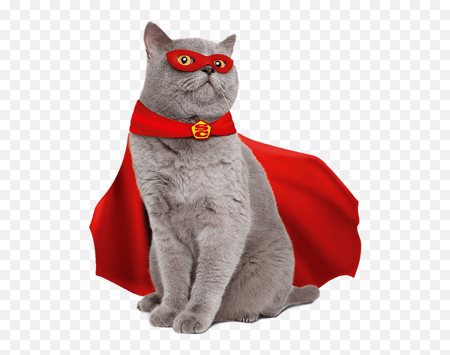 Need Some Timers For Fort - War Dragons Super Cat Emoji,Grey Tabby Emojis