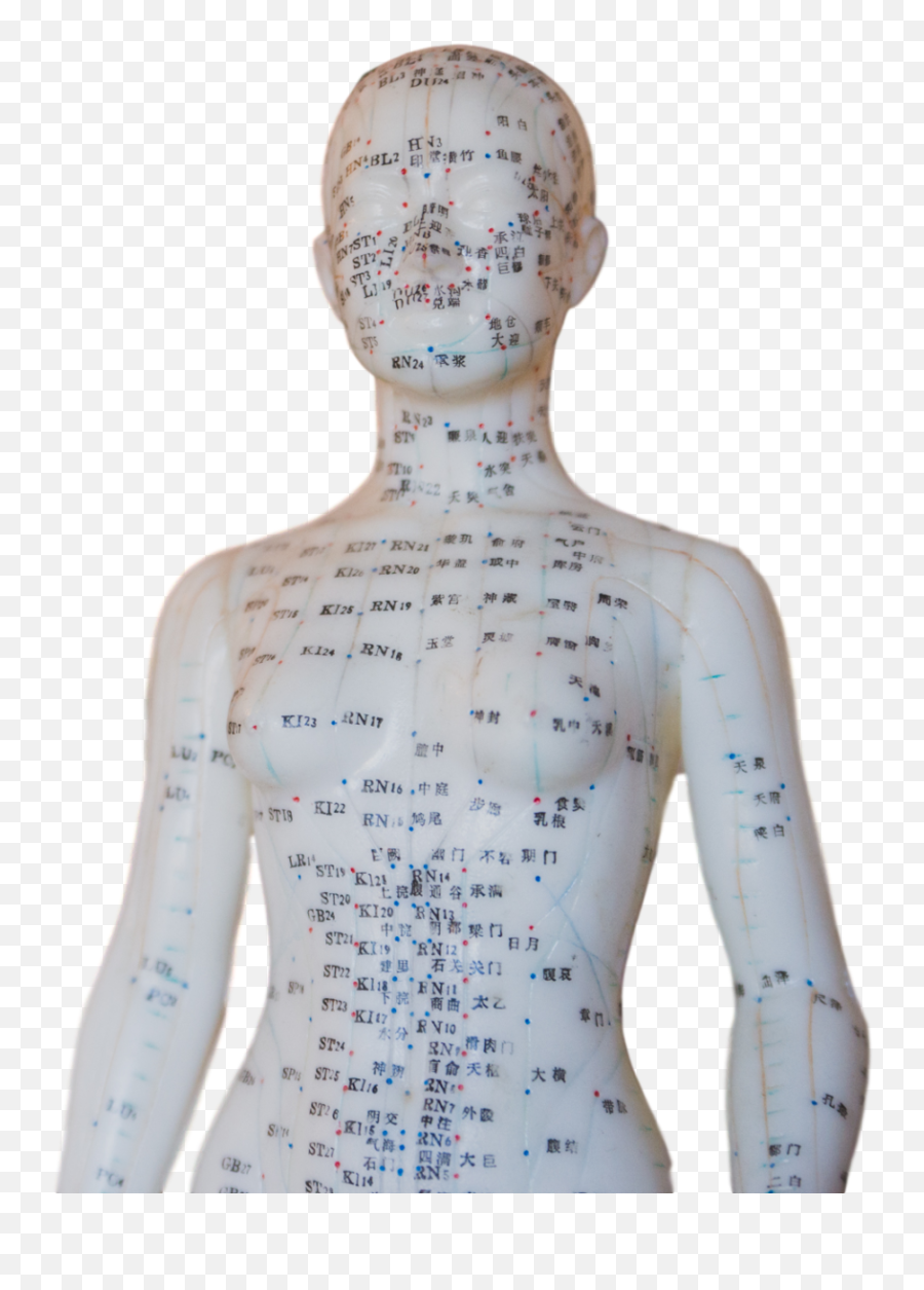 Acupuncture - Brodie Welch Emoji,Balance Emotions + Acupunture Points