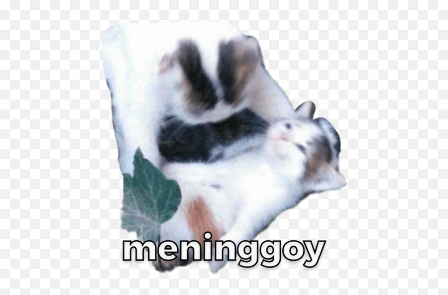 Odading Emoji,Mang Emoji Odading Emoji,Mang Emoji