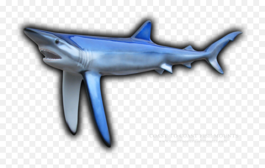 Blue Shark Fish Mounts U0026 Replicas By Coast - Tocoast Fish Mounts Emoji,Arowana Fish Emotion
