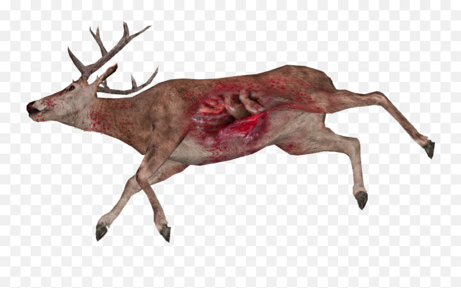 Animal Carcasses - Deer Carcass Png Emoji,Dead Deer Emoji