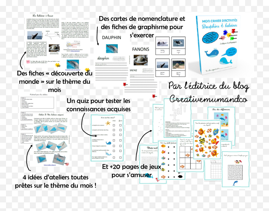 Un Cahier Dactivités Gratuit - Couleur Des Émotions Pdf Gratuit Emoji,La Couleur Des Emotions